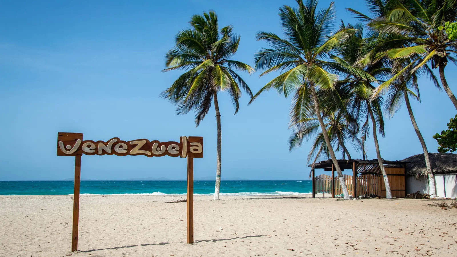 Palm-lined white-sand beach in Venezuela